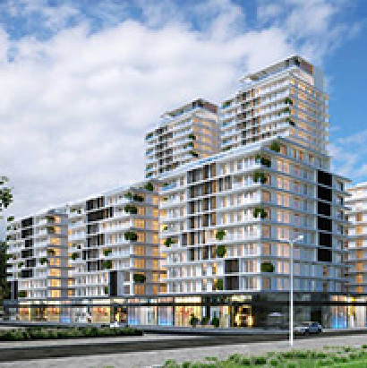 shimur_410x410 copy 3